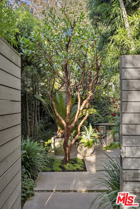 4 bd, 4 ba House in Venice, CA — $42,000/mo — photo 2