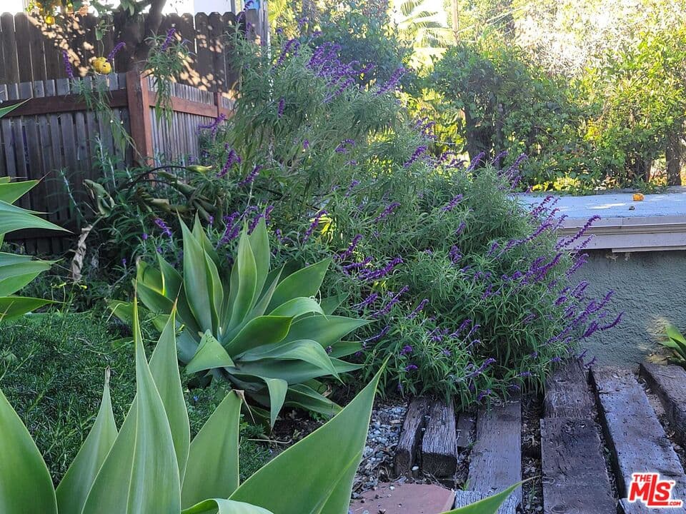 1 bd, 1 ba House in Los Angeles, CA — $3,500/mo — photo 2
