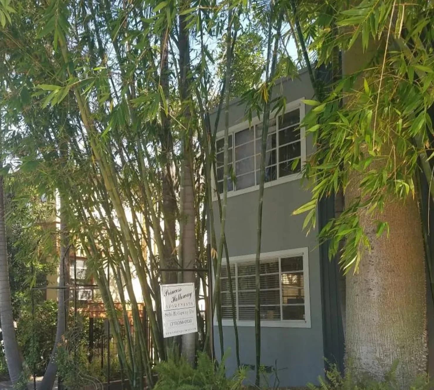 1 bd, 1 ba Apartment in West Hollywood, CA — $2,395/mo — photo 2