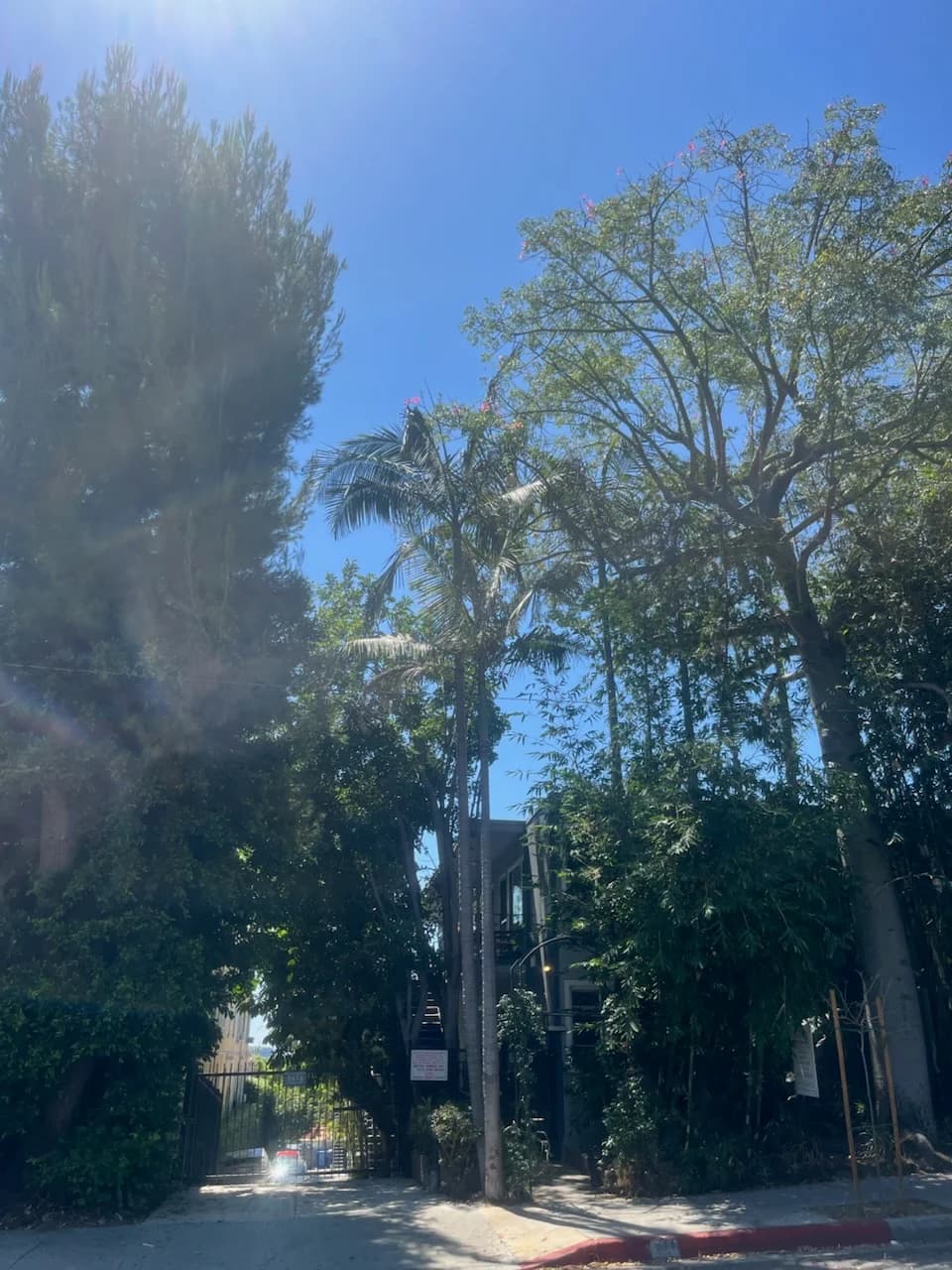 1 bd, 1 ba Apartment in West Hollywood, CA — $2,395/mo — photo 1